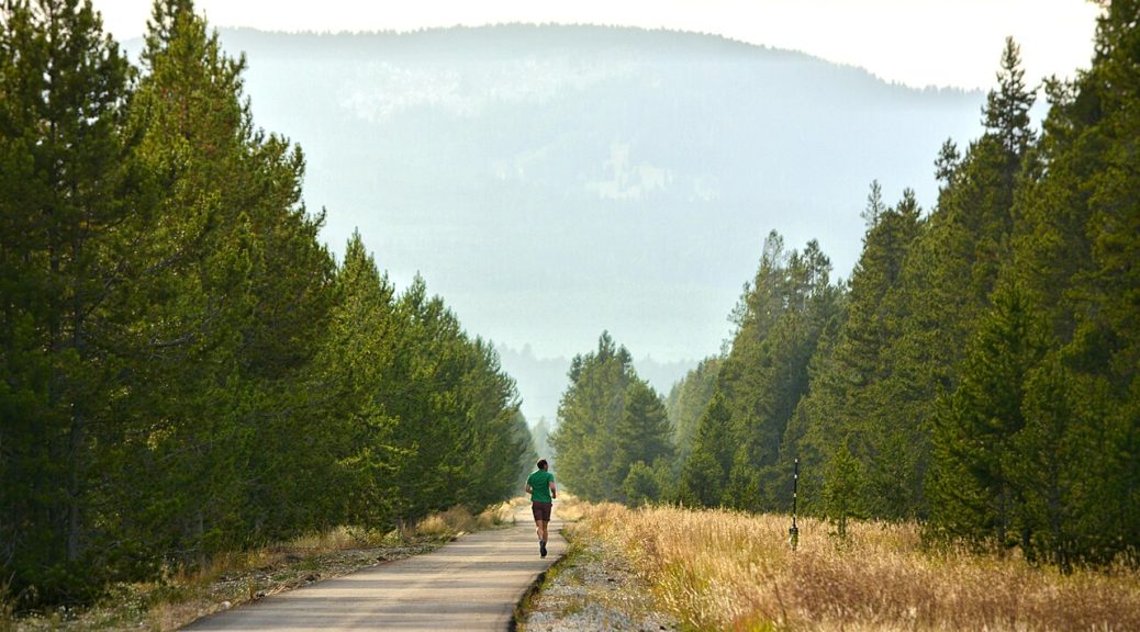 A person jogging along a quiet tree-lined path toward misty forested hills.